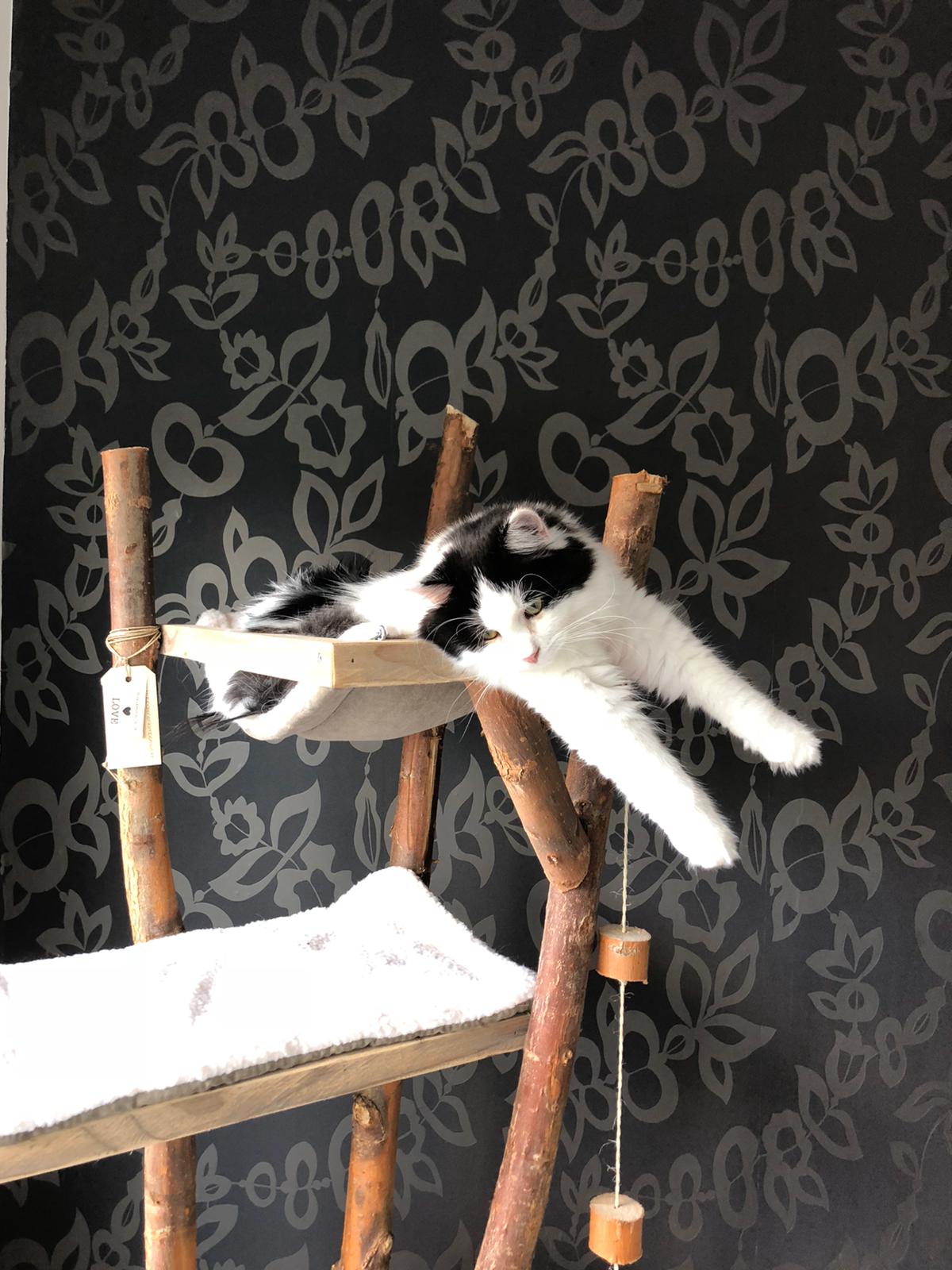 Model Koko met Hangmat