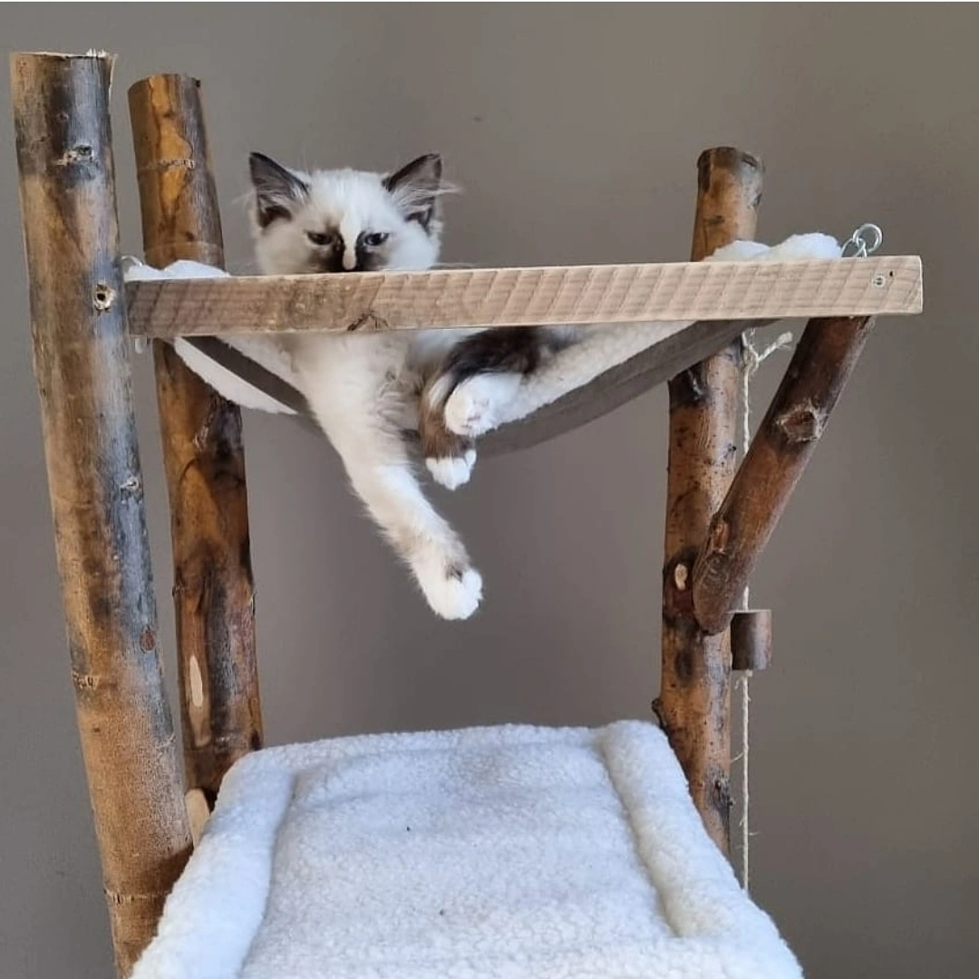 Model Koko met Hangmat