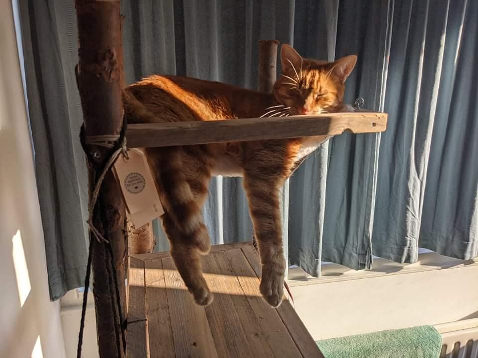 Model Koko met Hangmat