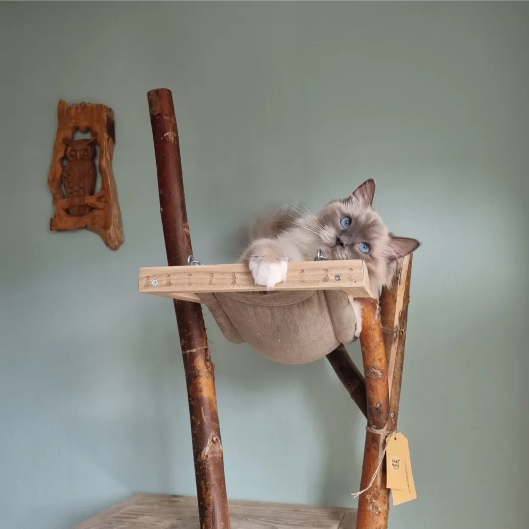 Model Koko met Hangmat